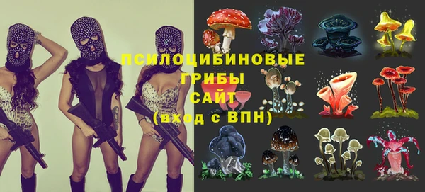 стаф Горняк